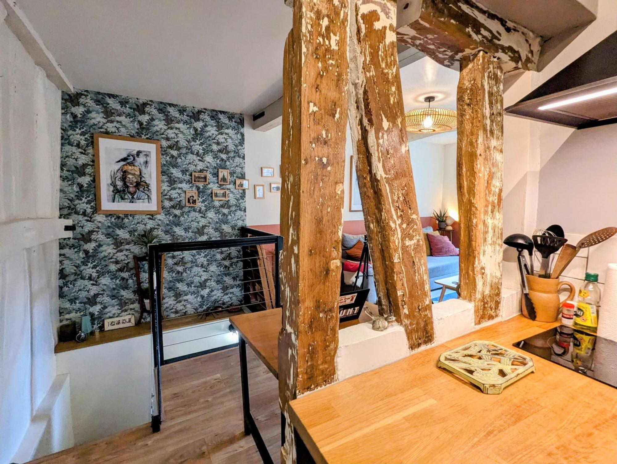 Artist Home - City Center - Bathtub - Terrasse - Full Appartment Rouen Zewnętrze zdjęcie